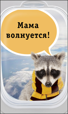 HTML5-БАННЕР: Билайн – Мама волнуется!